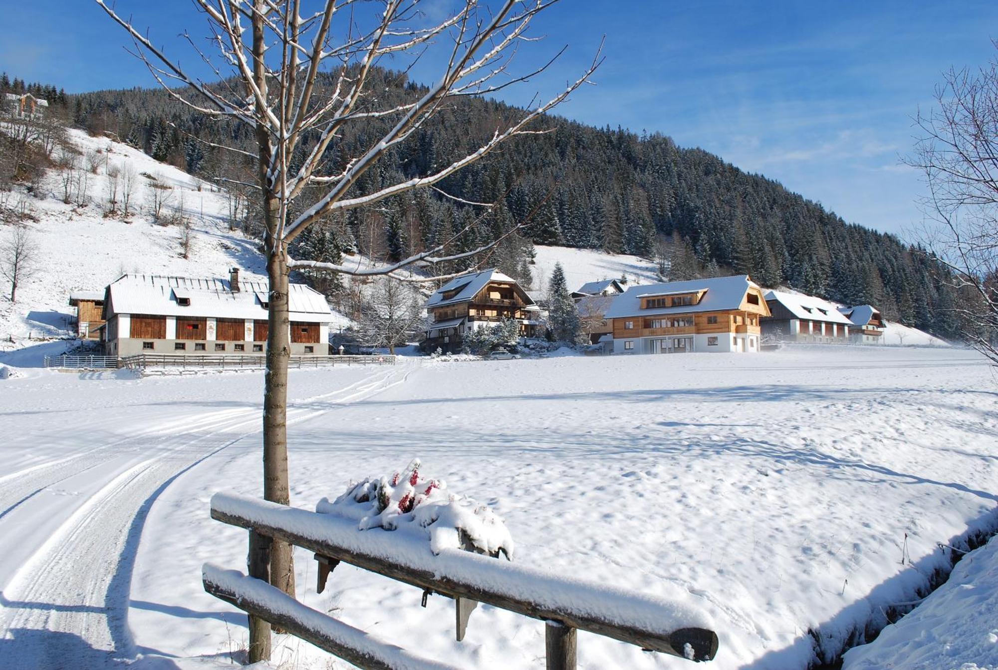 Biohof Seidl Daire Bad Kleinkirchheim Dış mekan fotoğraf