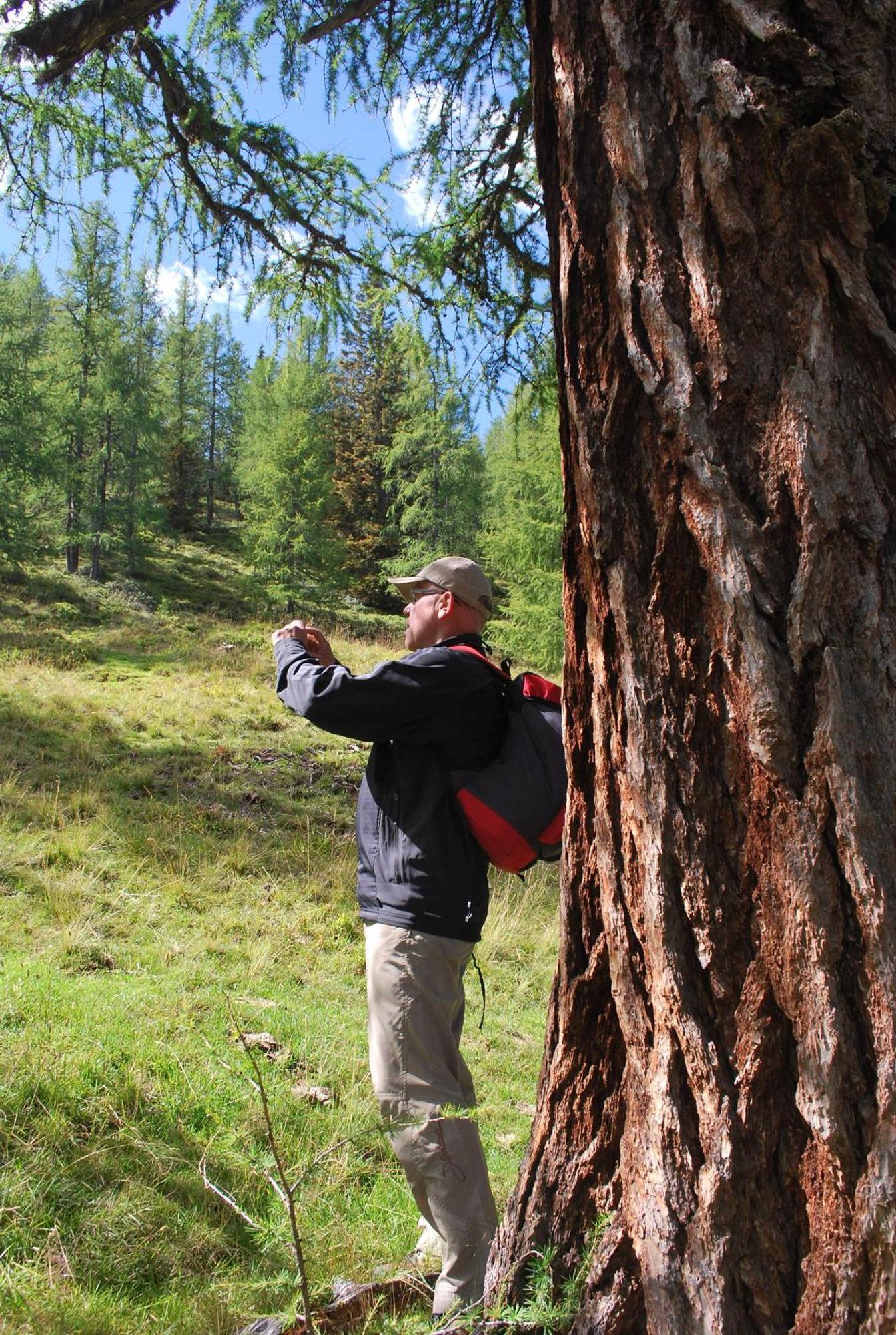 Biohof Seidl Daire Bad Kleinkirchheim Dış mekan fotoğraf