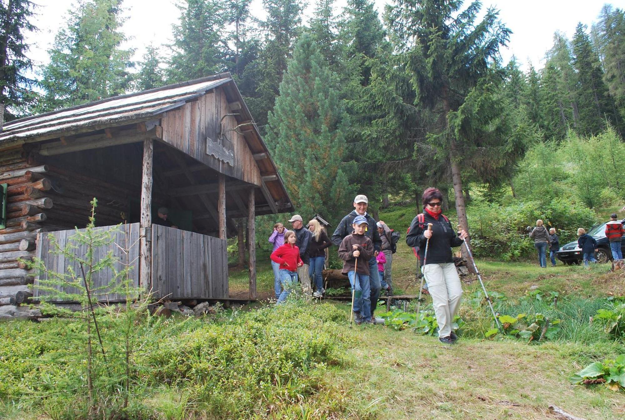 Biohof Seidl Daire Bad Kleinkirchheim Dış mekan fotoğraf