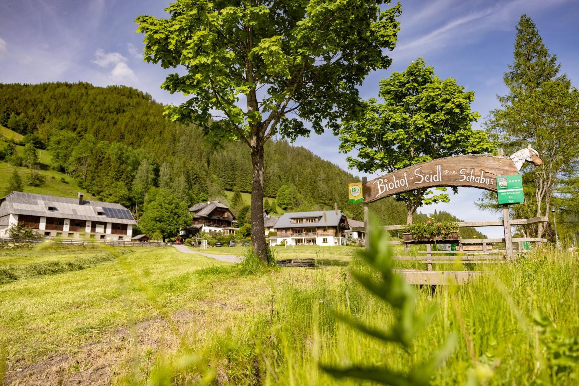 Biohof Seidl Daire Bad Kleinkirchheim Dış mekan fotoğraf