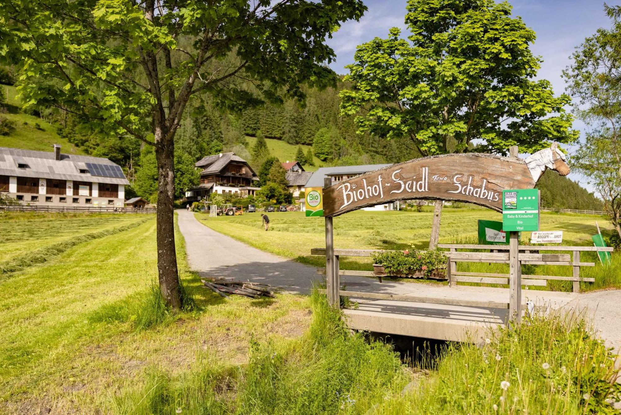Biohof Seidl Daire Bad Kleinkirchheim Dış mekan fotoğraf
