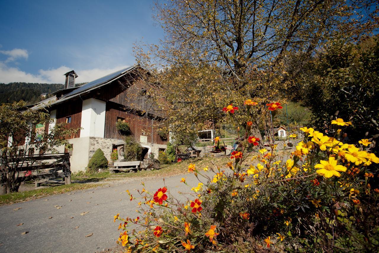 Biohof Seidl Daire Bad Kleinkirchheim Dış mekan fotoğraf