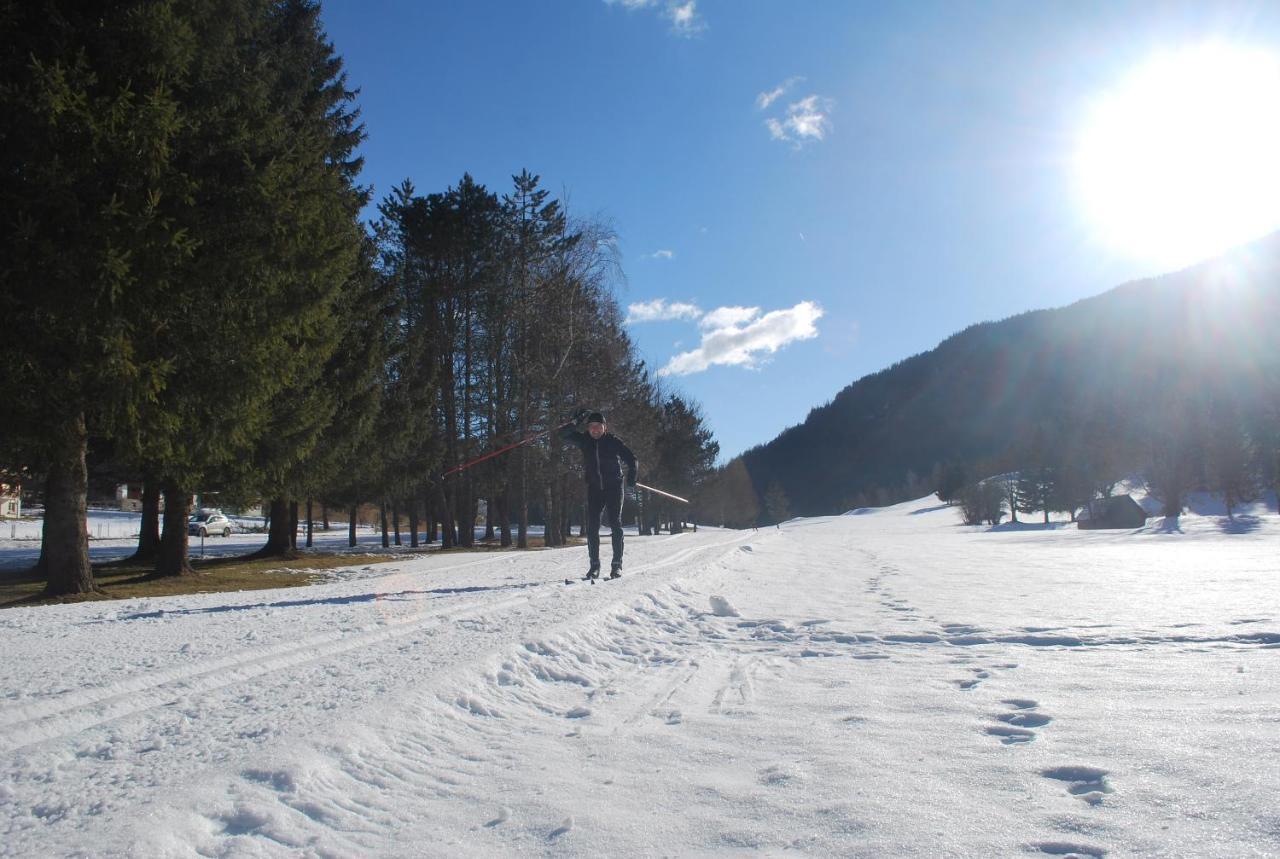 Biohof Seidl Daire Bad Kleinkirchheim Dış mekan fotoğraf