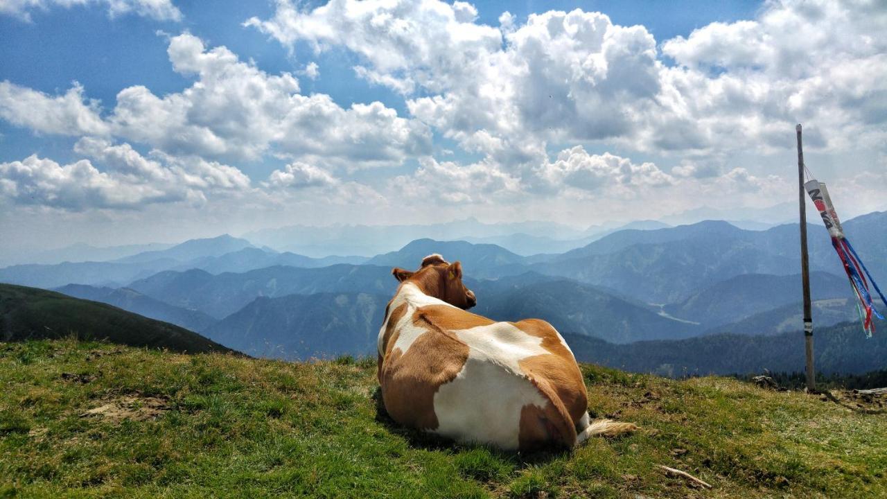 Biohof Seidl Daire Bad Kleinkirchheim Dış mekan fotoğraf